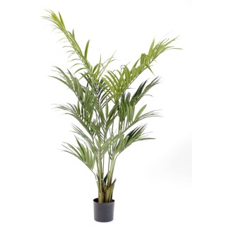 Naturgetreue Kentia-Palme Kunstpflanze 190cm, Grün