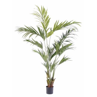 Künstliche Kentia-Palme 210cm, Naturgetreu Grün