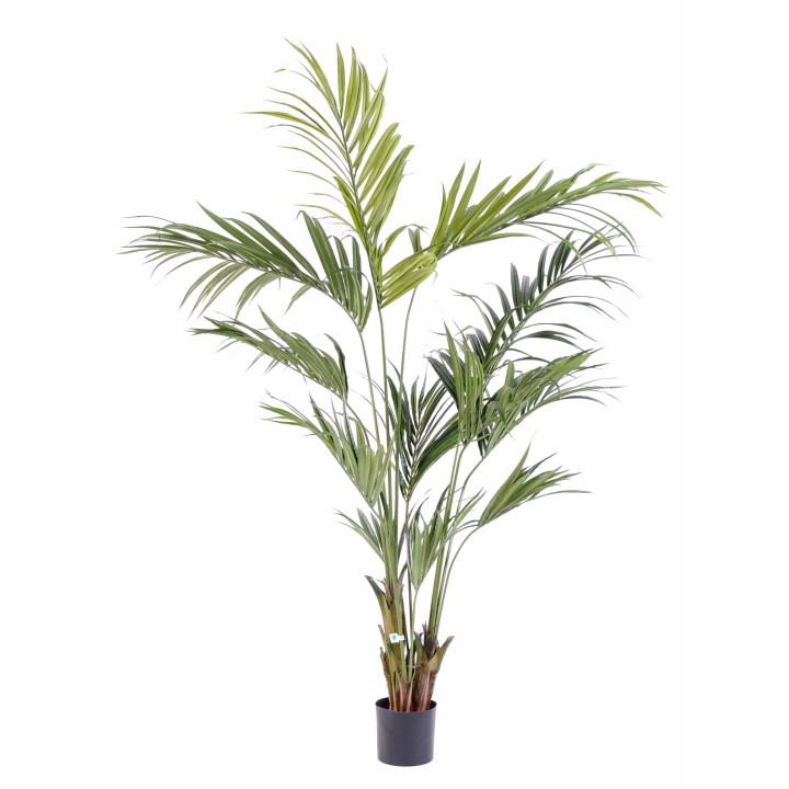 Künstliche Kentia-Palme 210cm, Naturgetreu Grün