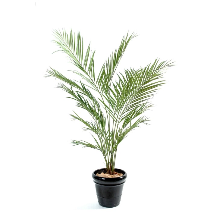 Künstliche Kentia-Palme 150cm - Naturgetreues Grün