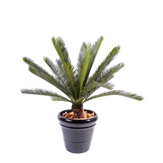 Künstlicher Cycas Palmfarn - 100cm - Üppiges Grün
