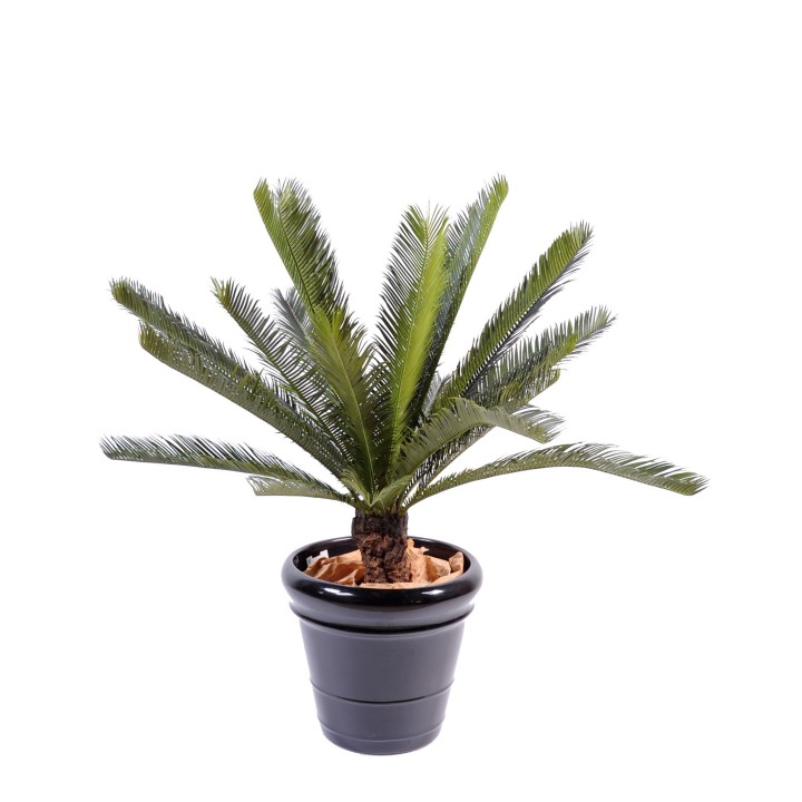 Künstlicher Cycas Palmfarn - 100cm - Üppiges Grün