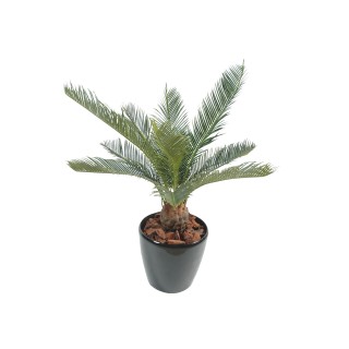 Künstlicher Baby-Cycas-Farn, 65cm, Grün