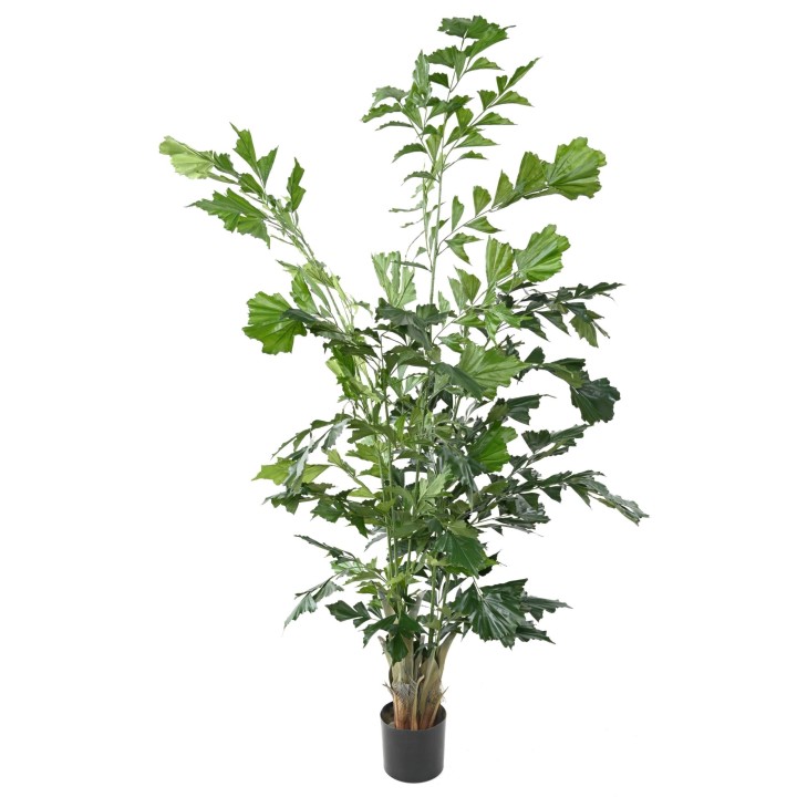 Künstlicher Caryota Baum 190cm Grün