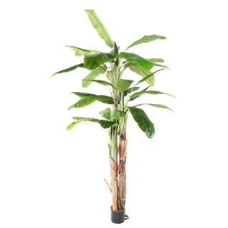 Exotischer Kunst-Bananenbaum, 240 cm, Grün