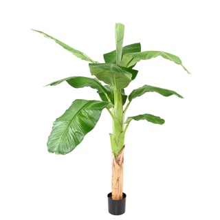 Realistischer Bananenbaum Kunstpflanze - 170cm Grün