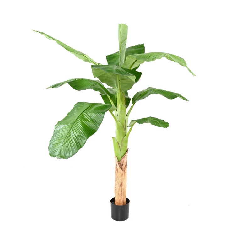 Realistischer Bananenbaum Kunstpflanze - 170cm Grün