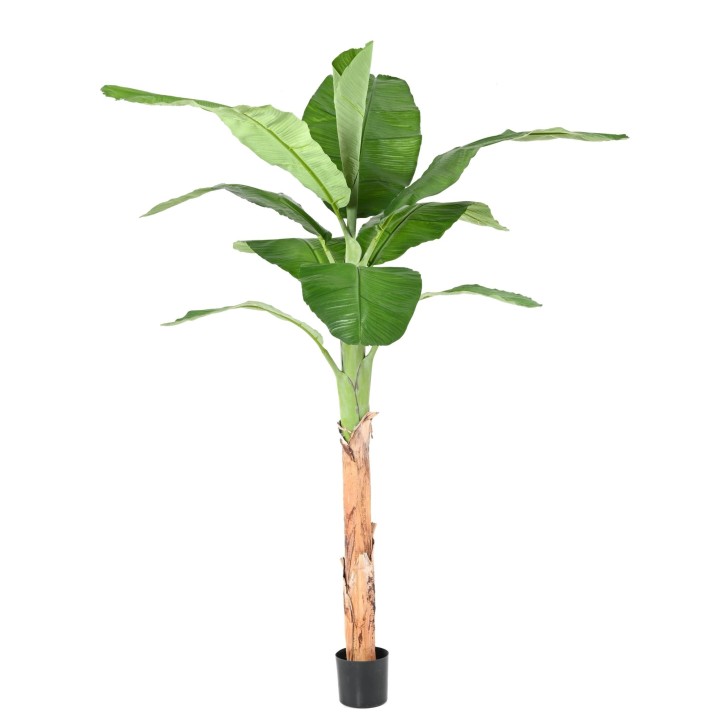 Lebensechter Kunst-Bananenbaum 210 cm hoch, grün