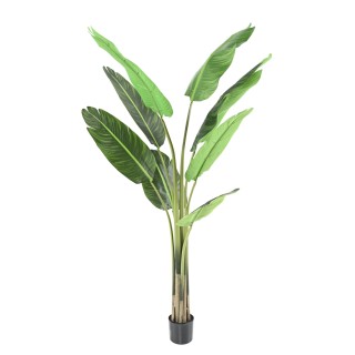 Künstliche Reisende Palme 150cm Grün