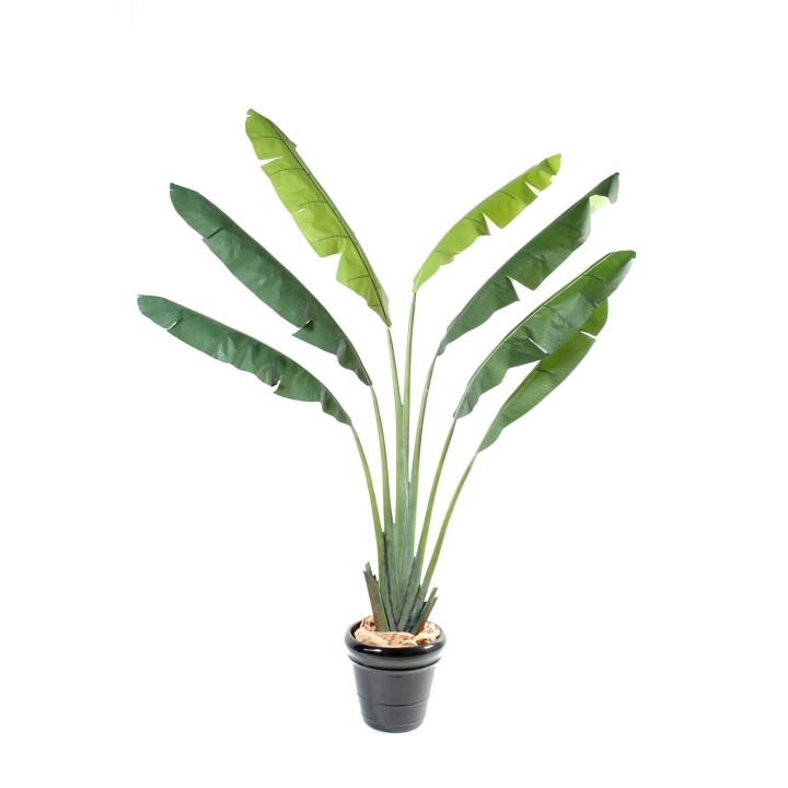 Künstlicher Reisender-Baum 250cm Grün