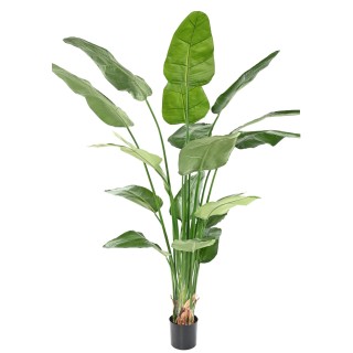 Strelitzia Nicolai Kunstpflanze - 220cm, Grün, Pflegeleicht