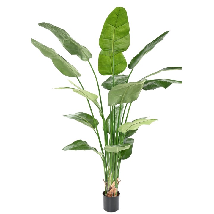 Strelitzia Nicolai Kunstpflanze - 220cm, Grün, Pflegeleicht