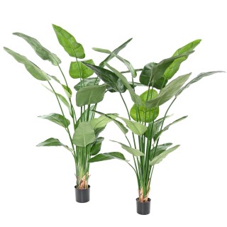 Künstliche Strelitzia Nicolai, 185 cm, Grüne Kunstpflanze
