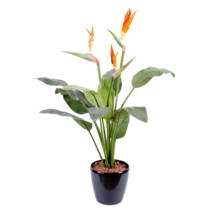 Exotische Strelitzia Kunstpflanze – 98 cm, leuchtend Bunt