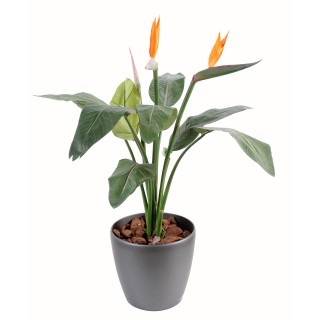 Strelitzia Kunstpflanze 95cm - Farbenfrohes Design