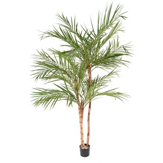 Kunst-Areca-Palme 220cm - Naturgetreues Grün