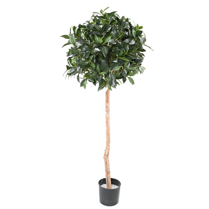 Hochwertiger Künstlicher Lorbeerbaum 150cm - UV-Stabil Grün