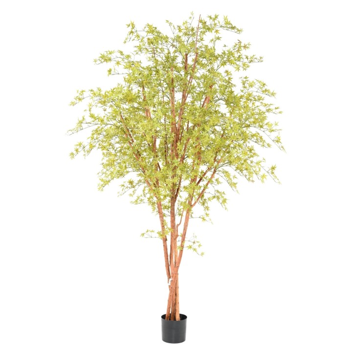 UV-beständiger Künstlicher Aralia Baum - 270cm, Hellgrün