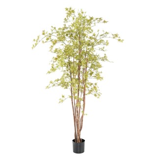 Künstlicher Aralia Baum 210cm - UV-beständig, Hellgrün
