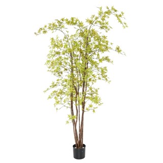 Premium Aralia Kunstpflanze 180cm - UV-beständig, hellgrün
