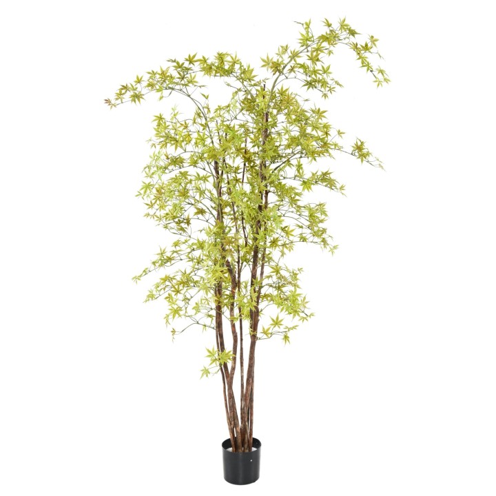 Premium Aralia Kunstpflanze 180cm - UV-beständig, hellgrün