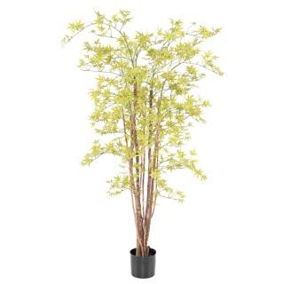 Künstliche Aralia 160cm - UV-Beständig, Leuchtend Hellgrün