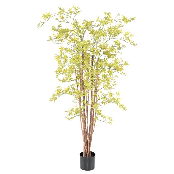 Künstliche Aralia 160cm - UV-Beständig, Leuchtend Hellgrün