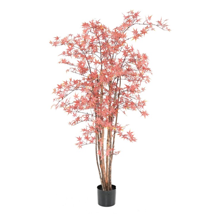 Aralia Kunstpflanze 160cm - UV-geschützt und grün