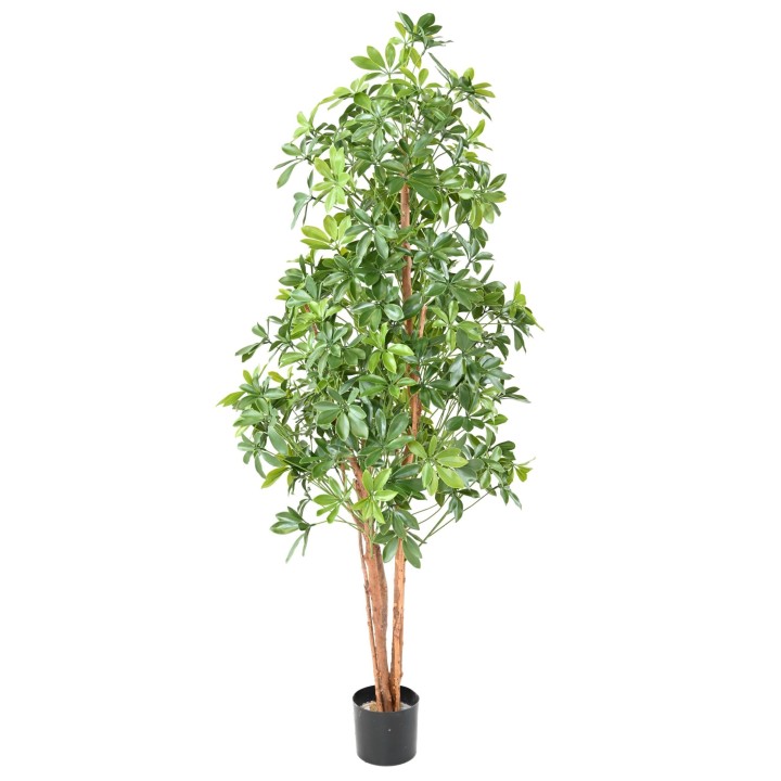 Künstlicher Choisya Baum 180cm - UV-beständig, Grün für Aussenbereiche