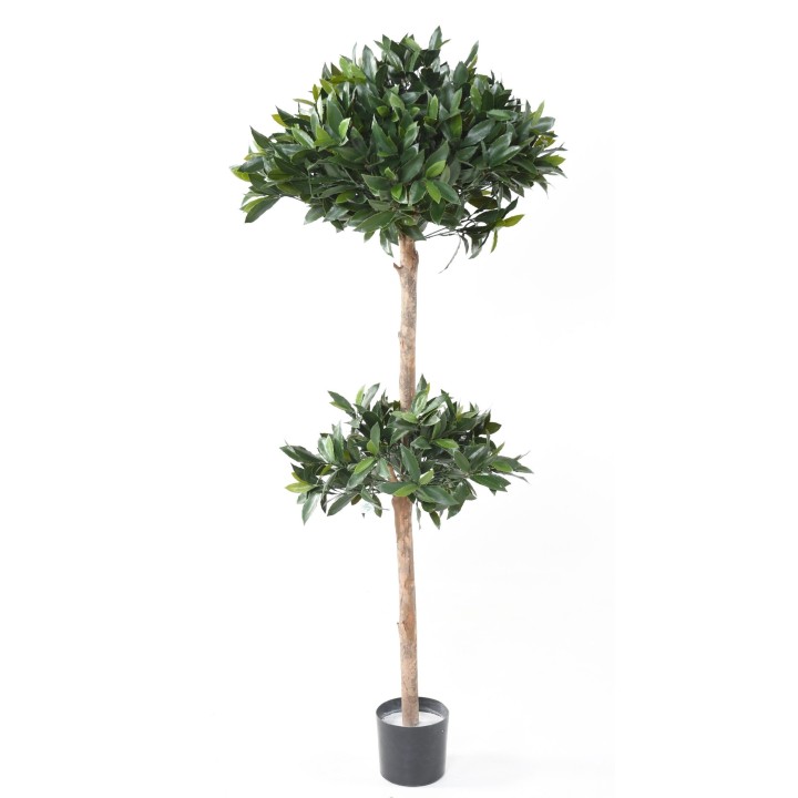 Premium Künstlicher Lorbeerbaum 170cm - UV-Schutz, Grün