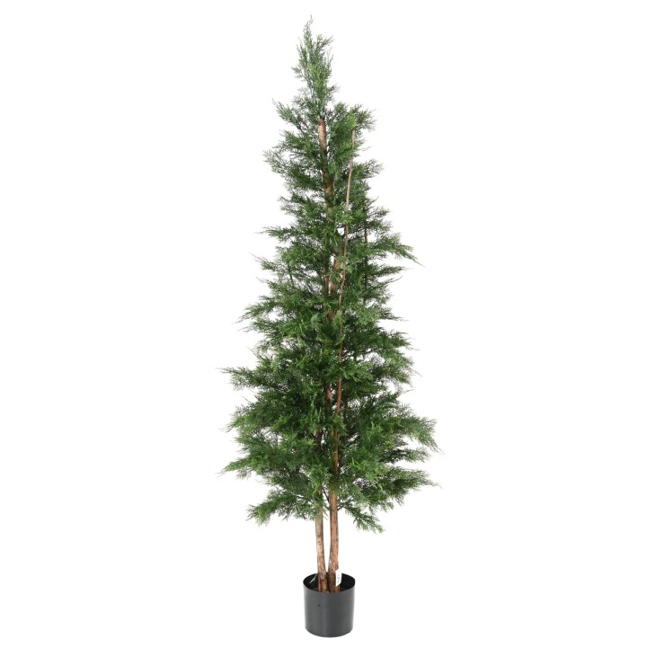 Realistischer Lawson-Zypressenbaum, 210cm - UV-beständig für dauerhafte Schönheit