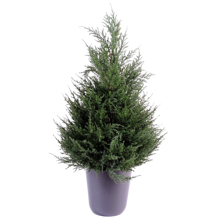 Künstlicher Zypressenbaum 65cm Grün