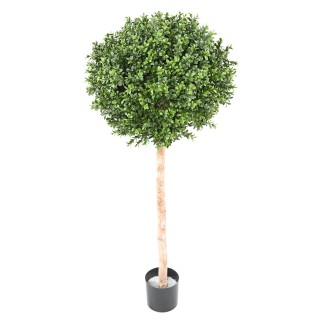 Künstlicher Buchsbaum Hochstamm mit Kugelkrone, 110 cm – Wetterfest und pflegeleicht