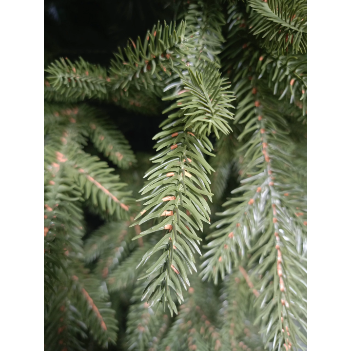 Exklusive Künstliche Küstentanne PE/PVC - 120 cm Hoch