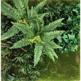 Pflanzenwand Modell C1 - Massgeschneidert und erweiterbar