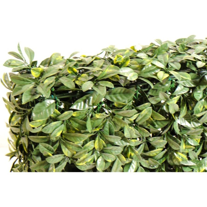 Künstliche Hartriegelhecke – Naturgetreues Grün für 75cm Höhe