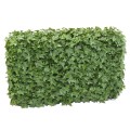 UV-beständige Kunst-Efeuhecke für Aussenbereiche, 57 cm Gesamthöhe