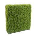 Realistische Künstliche Zypressen-Hecke 187cm - Pflegeleicht