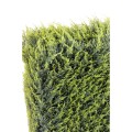 Realistische Künstliche Zypressen-Hecke 187cm - Pflegeleicht