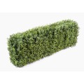 Künstliche Buchsbaumhecke – Naturgetreue Optik, 55cm hoch