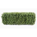 Naturgetreue Kunst-Buchsbaumhecke - Robust, 32cm Hoch