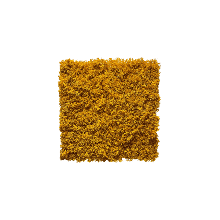 Künstliches Moos-Paneel Gelb 50x50cm - Brandschutzklasse RF2/B1