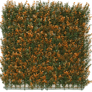 Kunsthecken-Paneel Buxus Orange 50x50 cm UV-beständig