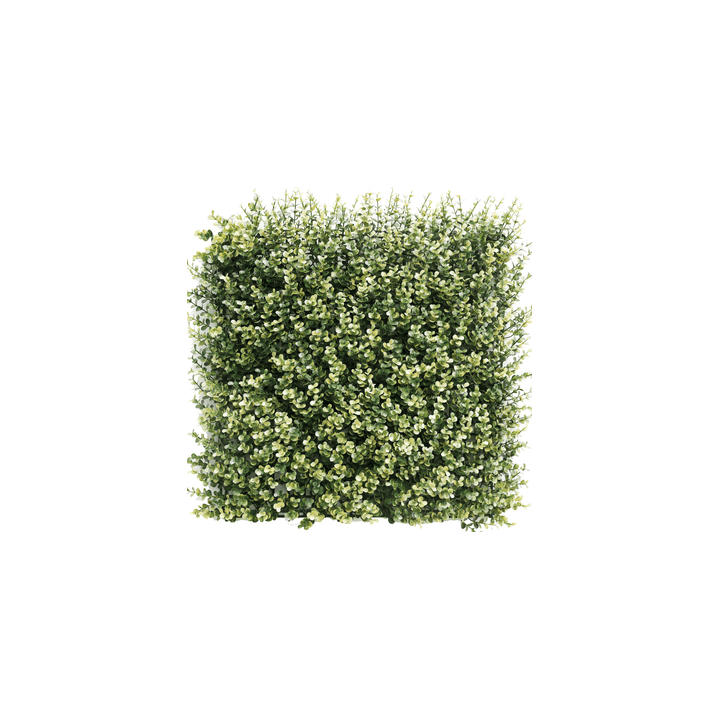 Künstliches Buxus Heckenpaneel Beige 50x50 cm UV-beständig