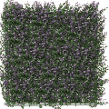 Kunsthecken-Paneel Buxus lila 50x50 cm UV-geschuetzt