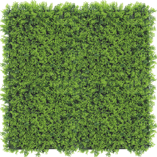 Hochwertiges Kunsthecken-Paneel Cupressus 50x50 cm mit UV-Schutz