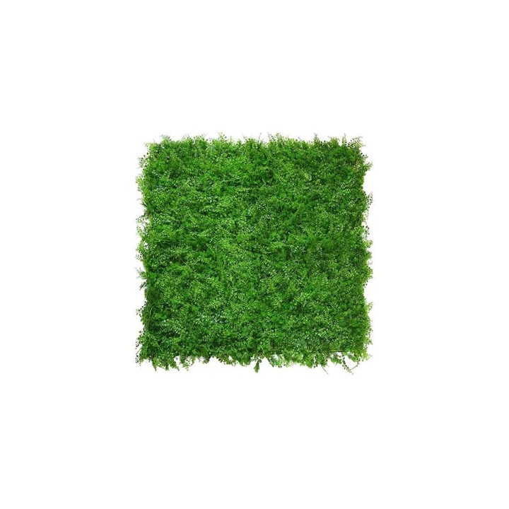 Grünwand-Paneel Kunstpflanze Farn-Konifere 50x50 cm