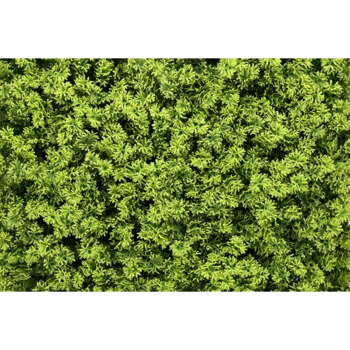 Marie Moos Kunsthecken-Paneel - 100x100cm