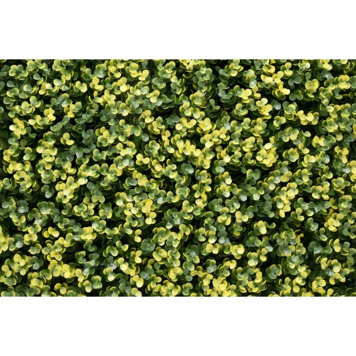 Künstliches Hecken-Paneel Lina Buxus - 100x100 cm