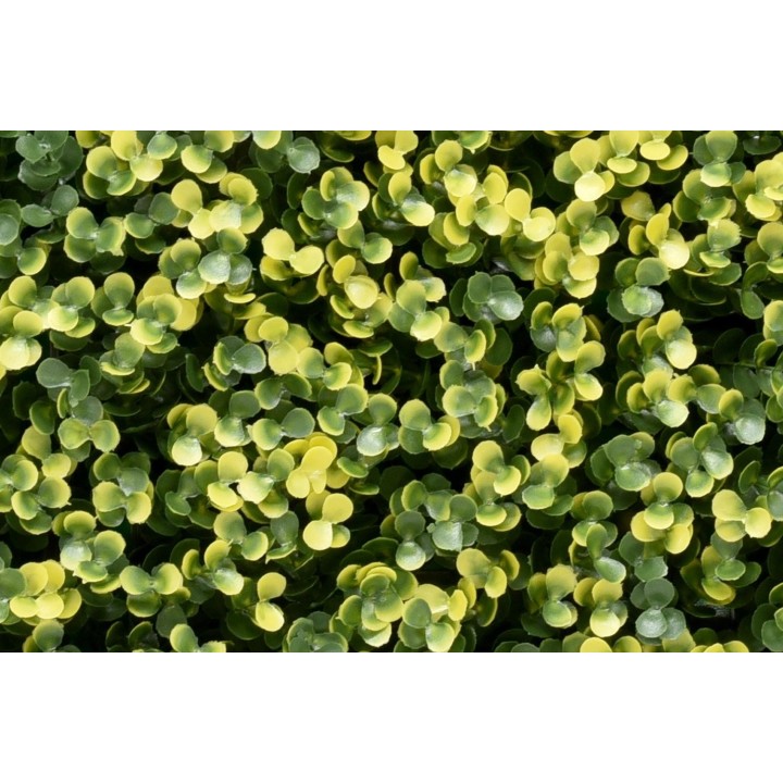 Künstliches Hecken-Paneel Lina Buxus - 100x100 cm